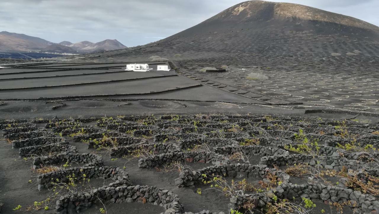 Villa Papaya بلايا بلانكا المظهر الخارجي الصورة